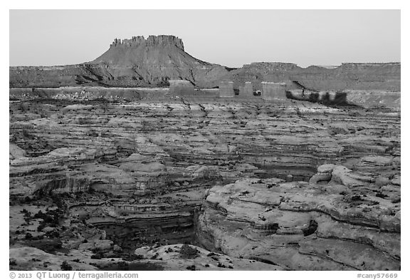Chocolate drops, Maze canyons, and Elaterite Butte at sunrise. Canyonlands National Park (black and white)
