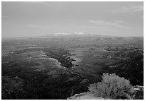 Side Gorge seen from Grand View Point, dusk, Island in the Sky. Canyonlands National Park ( black and white)