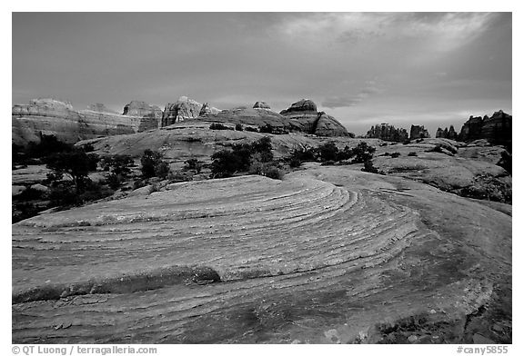 Sandstone swirls and Needles with last light, the Needles. Canyonlands National Park (black and white)
