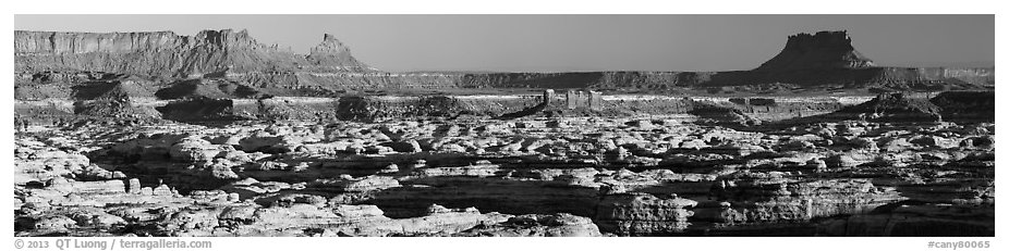 Maze canyons and Chocolate Drops from Standing Rock, early morning. Canyonlands National Park (black and white)