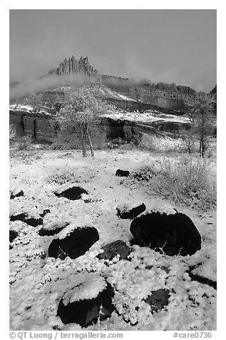 Castle Meadow and Castle, winter. Capitol Reef National Park (black and white)