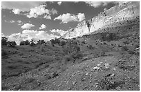 Wildflowers Waterpocket Fold, and clouds. Capitol Reef National Park ( black and white)