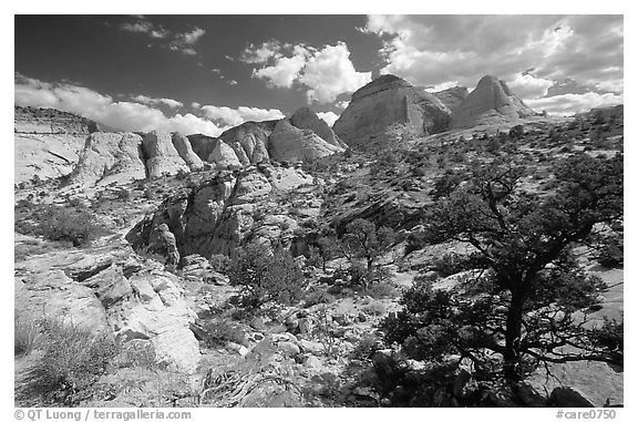 Plateau and domes above Capitol Gorge. Capitol Reef National Park (black and white)