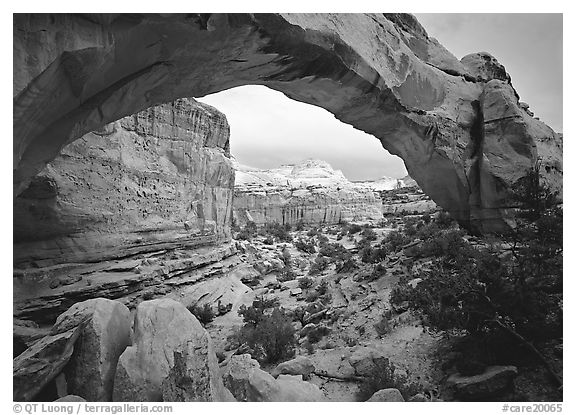 Hickman Bridge, mid-day. Capitol Reef National Park (black and white)
