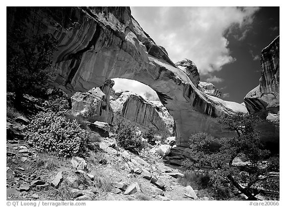 Hickman natural bridge from below. Capitol Reef National Park (black and white)