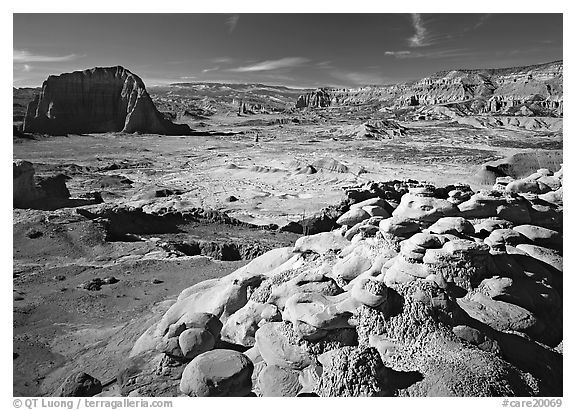 Lower South Desert. Capitol Reef National Park (black and white)