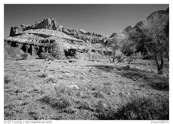 Castle Meadow and Castle, spring. Capitol Reef National Park (black and white)