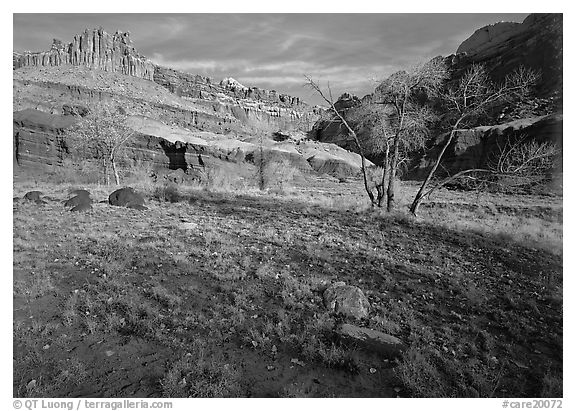 The Castle in late autum, morning. Capitol Reef National Park (black and white)