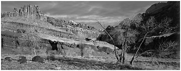 Castle Meadow and Castle, late autumn. Capitol Reef National Park (Panoramic black and white)