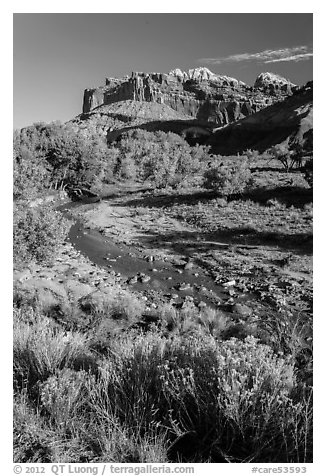 Stream and cliffs. Capitol Reef National Park, Utah, USA.