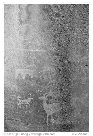 Fremont Petroglyphs. Capitol Reef National Park, Utah, USA.