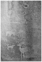 Fremont Petroglyphs. Capitol Reef National Park, Utah, USA. (black and white)
