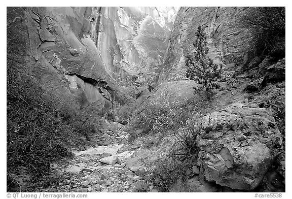 Surprise canyon. Capitol Reef National Park (black and white)