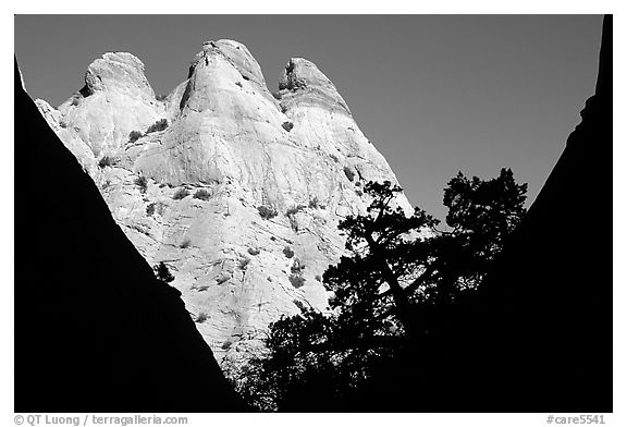 Sandstone towers seen from Surprise Canyon. Capitol Reef National Park (black and white)
