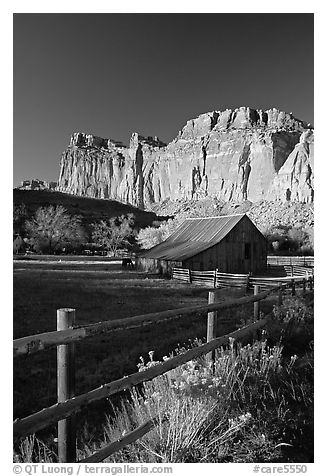 Fence, Old barn, horse and cliffs, Fruita. Capitol Reef National Park, Utah, USA.