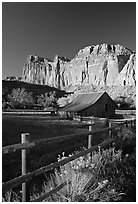 Fence, Old barn, horse and cliffs, Fruita. Capitol Reef National Park, Utah, USA. (black and white)