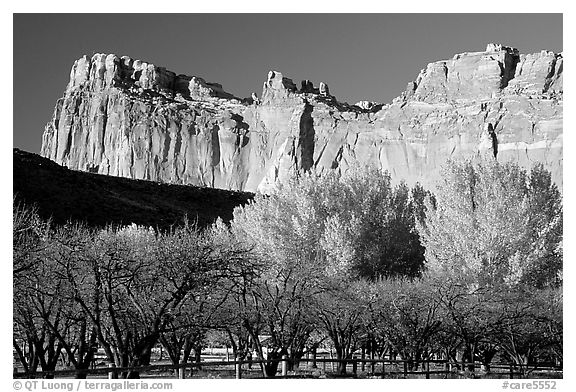 Historic orchard and cliffs. Capitol Reef National Park, Utah, USA.