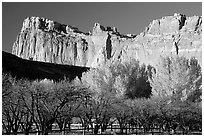 Historic orchard and cliffs. Capitol Reef National Park ( black and white)