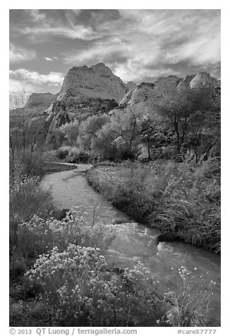 Fremont River, shrubs and trees in fall. Capitol Reef National Park, Utah, USA.
