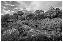 Fremont River Canyon in fall. Capitol Reef National Park, Utah, USA. (black and white)
