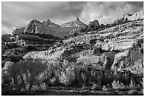 Sandstone domes tower above cottonwoods in Fremont River Gorge. Capitol Reef National Park, Utah, USA. (black and white)