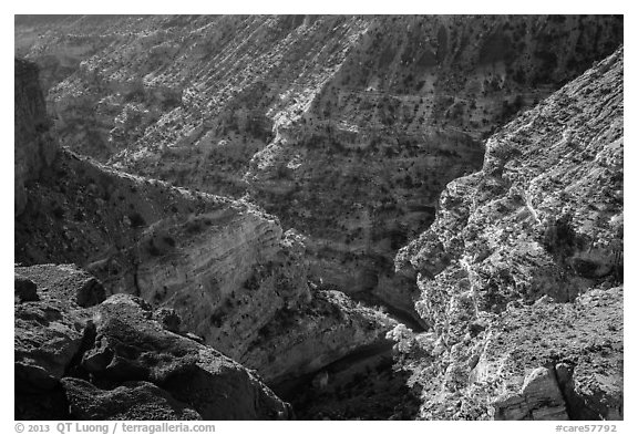 Sulfur Creek Canyon. Capitol Reef National Park (black and white)