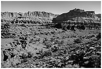 Junipers and Mummy cliffs. Capitol Reef National Park ( black and white)
