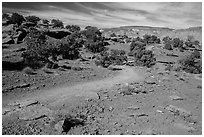 Trail near Sunset Point. Capitol Reef National Park ( black and white)