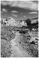 Primitive trail on natural slab. Capitol Reef National Park ( black and white)