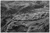 Fruita historic orchards from above in autumn. Capitol Reef National Park ( black and white)