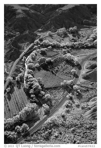 Fruita orchards in the fall, seen from above. Capitol Reef National Park (black and white)