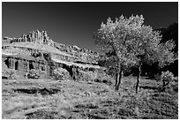Castle Meadow and Castle in autumn. Capitol Reef National Park ( black and white)