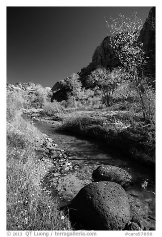 Basalt boulders, Pleasant Creek in the fall. Capitol Reef National Park (black and white)