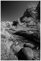 Basalt boulders, Pleasant Creek in the fall. Capitol Reef National Park, Utah, USA. (black and white)