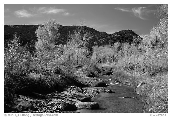 Pleasant Creek in autumn. Capitol Reef National Park (black and white)