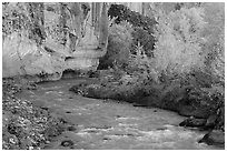 Fremont River, cottonwoods, and cliffs in autumn. Capitol Reef National Park ( black and white)