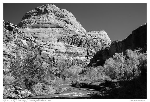 Capitol Dome in autumn. Capitol Reef National Park (black and white)
