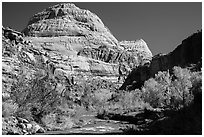 Capitol Dome in autumn. Capitol Reef National Park ( black and white)