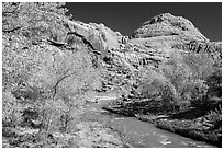 Fremont River and Capitol Dome in autumn. Capitol Reef National Park ( black and white)