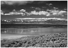 Sagebrush, lake, and Snake Range. Great Basin National Park, Nevada, USA. (black and white)
