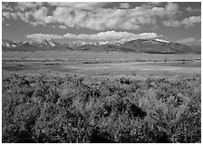 Snake Range raises above Sagebrush plain, seen from the East. Great Basin National Park ( black and white)