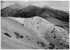 Wheeler Peak and Snake range seen from Mt Washington, morning. Great Basin  National Park ( black and white)