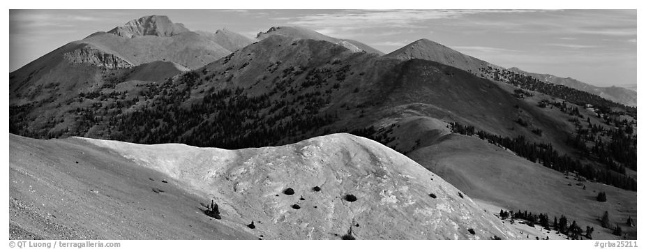 Snake Range ridge top. Great Basin National Park (black and white)