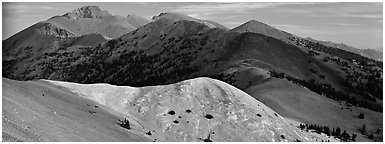 Snake Range ridge top. Great Basin National Park (Panoramic black and white)