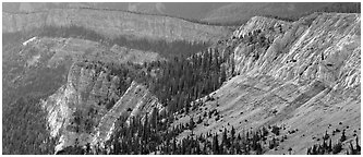 Limestone cliffs. Great Basin National Park (Panoramic black and white)