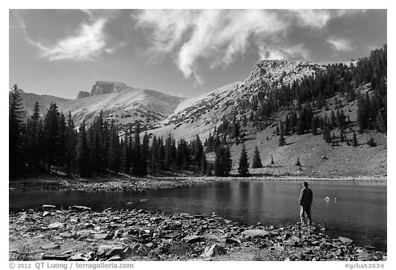 Visitor at Stella Lake. Great Basin National Park (black and white)