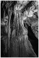 Column, Gothic Palace, Lehman Cave. Great Basin National Park ( black and white)