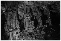 Columns, Lehman Cave. Great Basin National Park ( black and white)