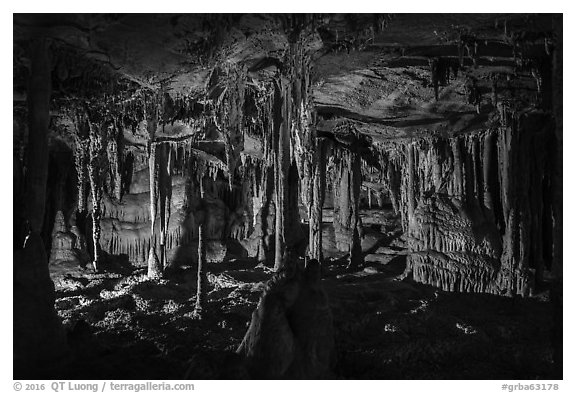The Swamp, Lehman Cave. Great Basin National Park (black and white)