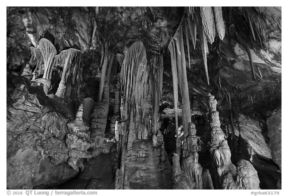 Grand Palace Room, Lehman Cave. Great Basin National Park (black and white)